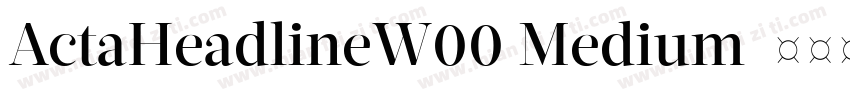 ActaHeadlineW00 Medium字体转换